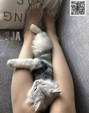 二代妖精之今生有幸