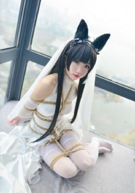 动物园里有什么在线观看免费