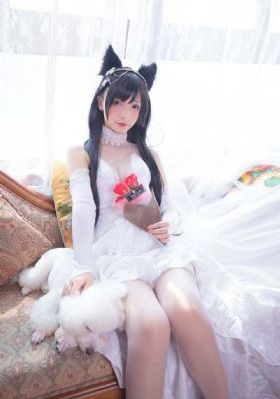 白智英
